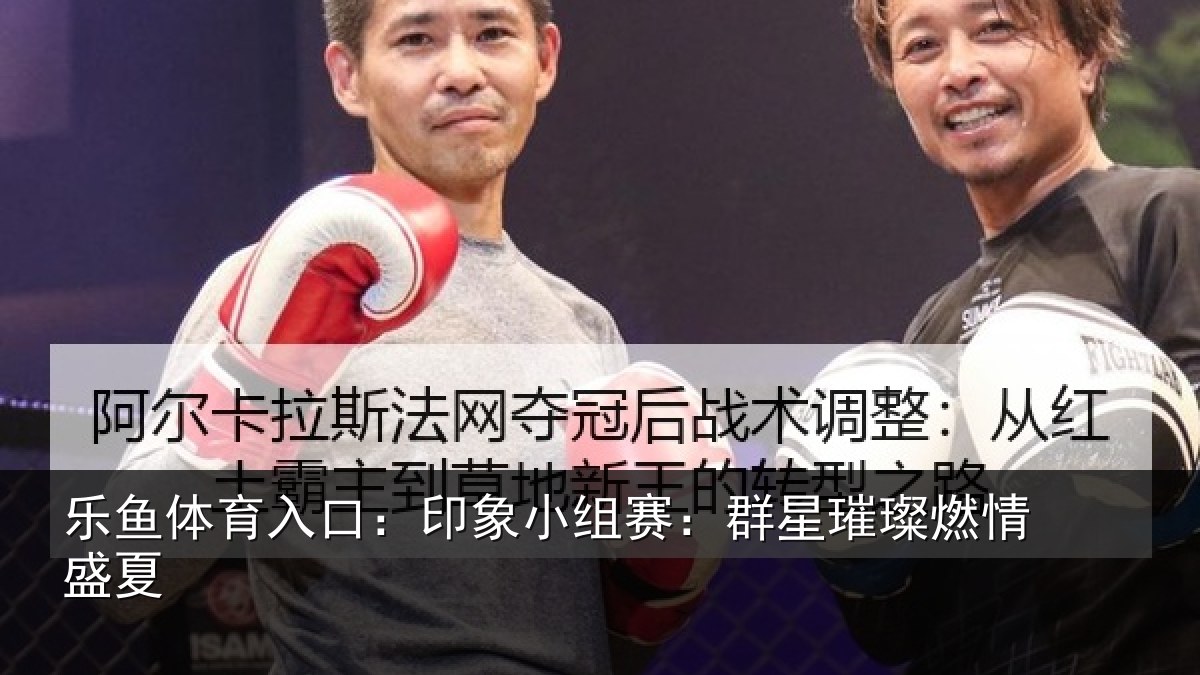 乐鱼体育入口：印象小组赛：群星璀璨燃情盛夏